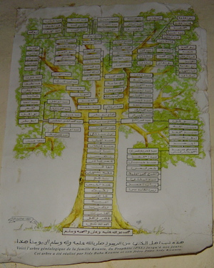Kunta Genealogy