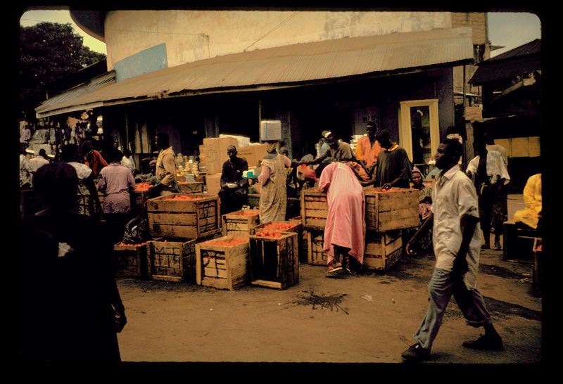 Men Tomato Sellers in North